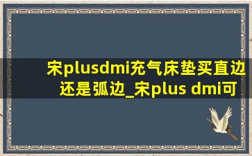 宋plusdmi充气床垫买直边还是弧边_宋plus dmi可以放床垫吗